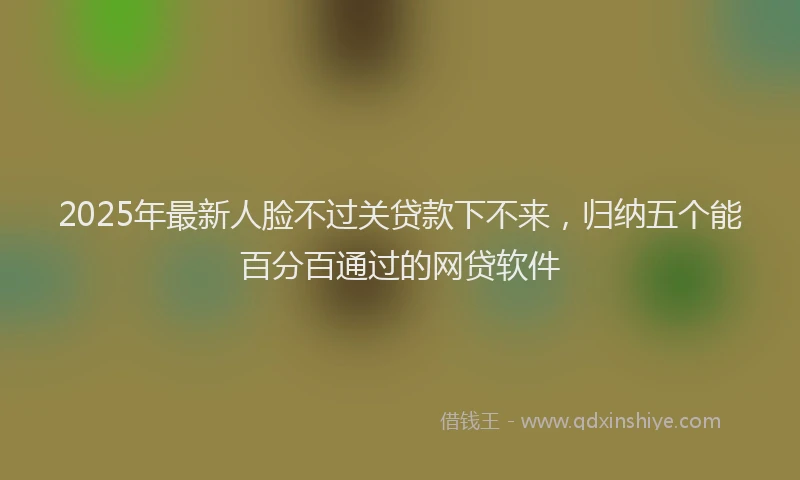 2025年最新人脸不过关贷款下不来，归纳五个能百分百通过的网贷软件