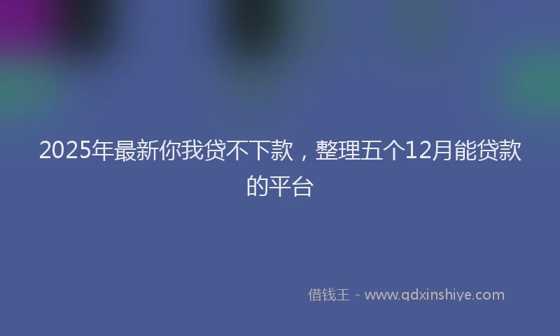2025年最新你我贷不下款，整理五个12月能贷款的平台