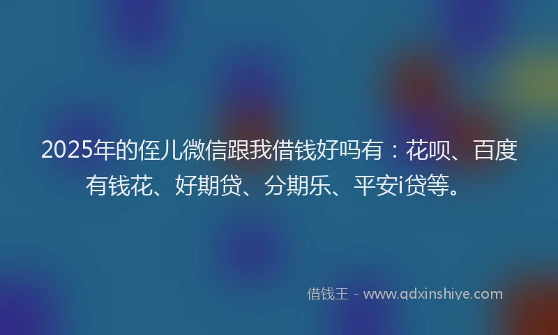 2025年的侄儿微信跟我借钱好吗有：花呗、百度有钱花、好期贷、分期乐、平安i贷等。