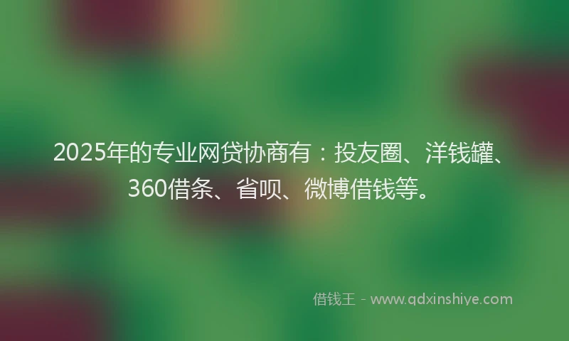 2025年的专业网贷协商有：投友圈、洋钱罐、360借条、省呗、微博借钱等。