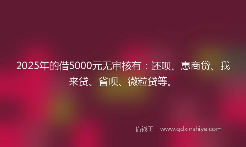 2025年的借5000元无审核有：还呗、惠商贷、我来贷、省呗、微粒贷等。