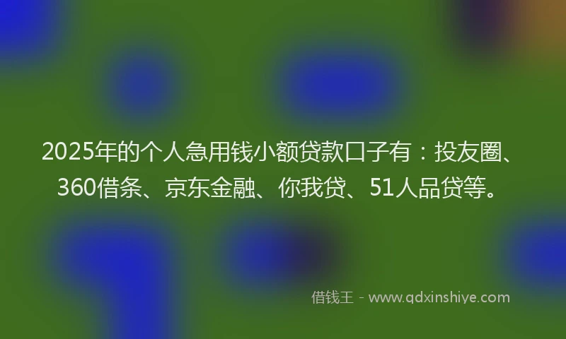 2025年的个人急用钱小额贷款口子有：投友圈、360借条、京东金融、你我贷、51人品贷等。