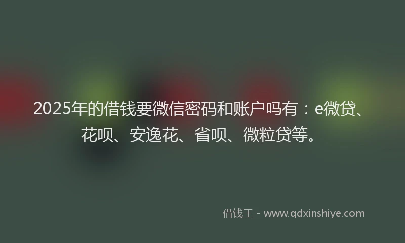 2025年的借钱要微信密码和账户吗有：e微贷、花呗、安逸花、省呗、微粒贷等。
