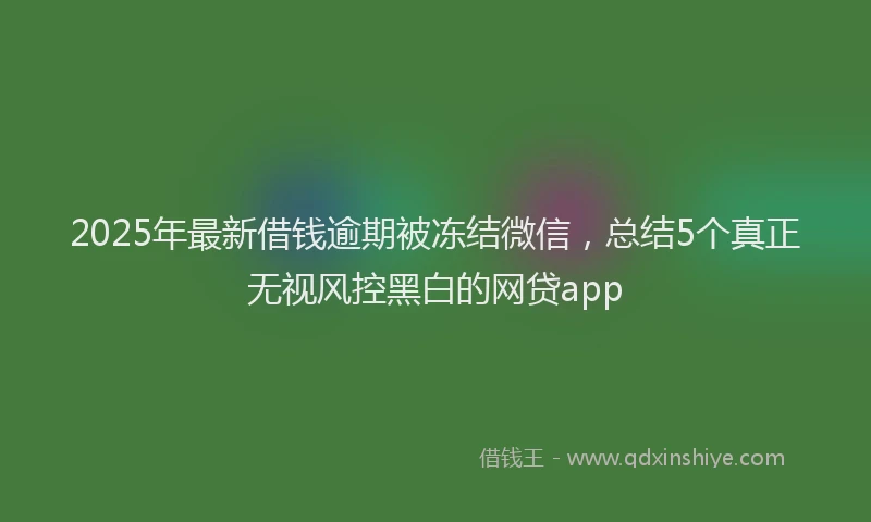2025年最新借钱逾期被冻结微信，总结5个真正无视风控黑白的网贷app