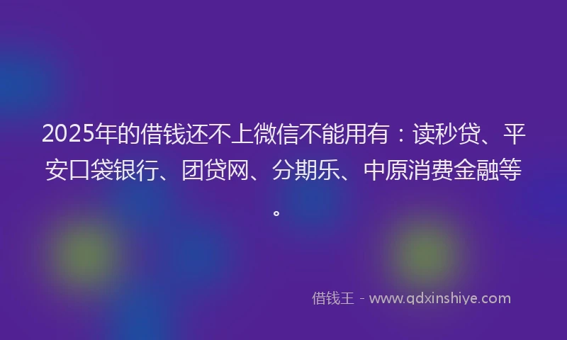 2025年的借钱还不上微信不能用有：读秒贷、平安口袋银行、团贷网、分期乐、中原消费金融等。