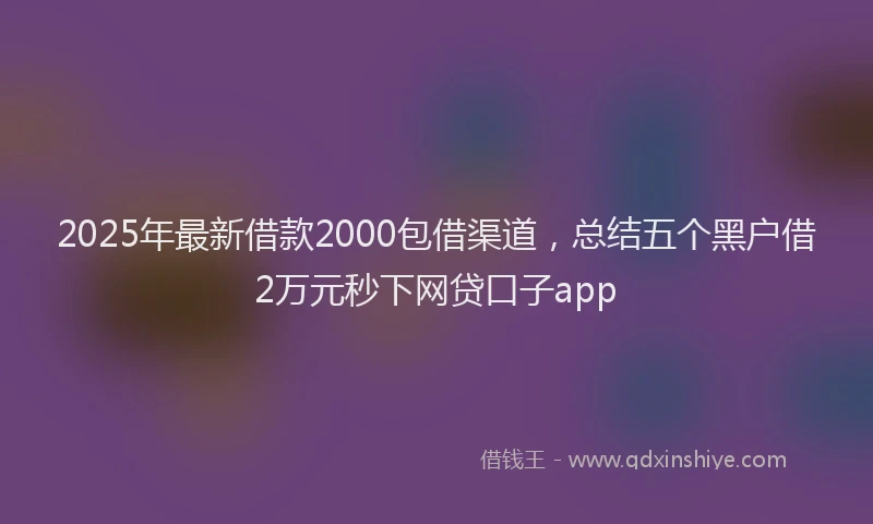 2025年最新借款2000包借渠道，总结五个黑户借2万元秒下网贷口子app
