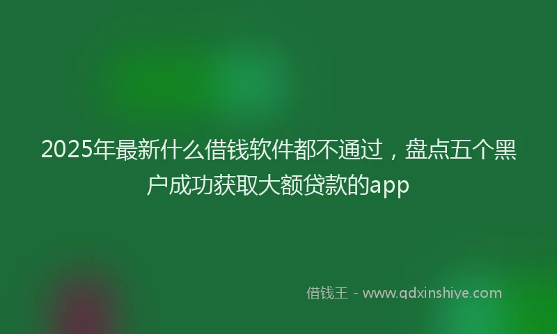 2025年最新什么借钱软件都不通过，盘点五个黑户成功获取大额贷款的app