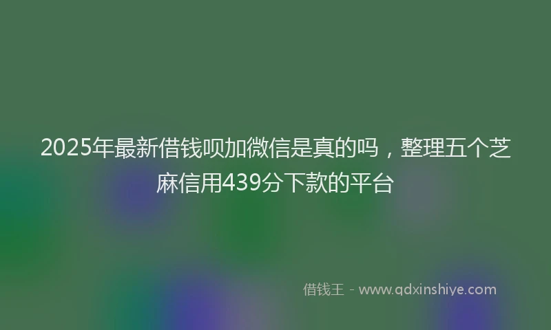 2025年最新借钱呗加微信是真的吗，整理五个芝麻信用439分下款的平台