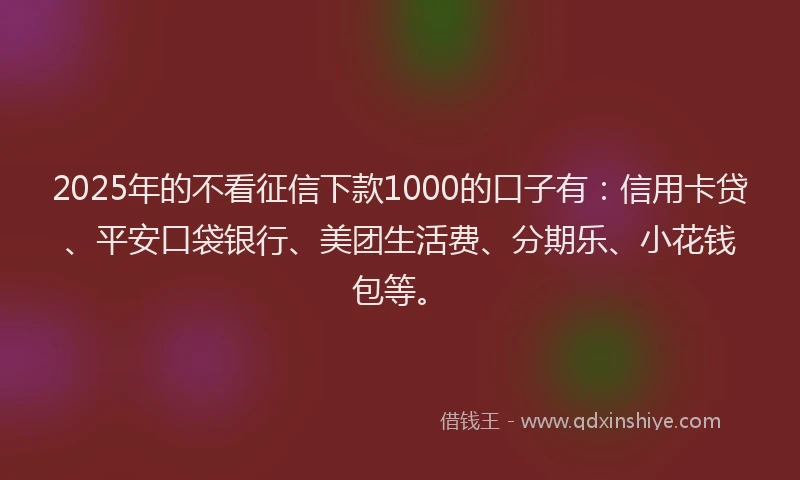 2025年的不看征信下款1000的口子有：信用卡贷、平安口袋银行、美团生活费、分期乐、小花钱包等。