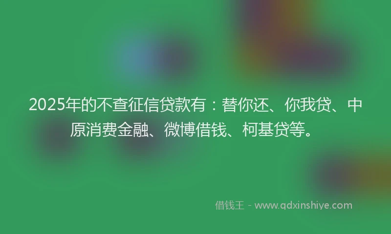 2025年的不查征信贷款有：替你还、你我贷、中原消费金融、微博借钱、柯基贷等。