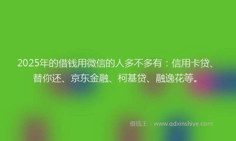 2025年的借钱用微信的人多不多有：信用卡贷、替你还、京东金融、柯基贷、融逸花等。