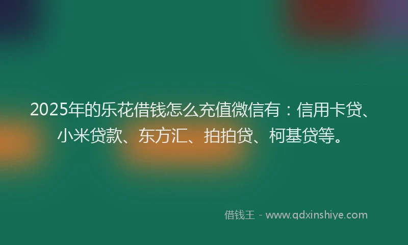 2025年的乐花借钱怎么充值微信有：信用卡贷、小米贷款、东方汇、拍拍贷、柯基贷等。