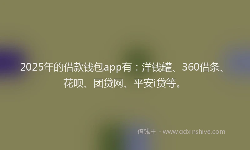 2025年的借款钱包app有：洋钱罐、360借条、花呗、团贷网、平安i贷等。