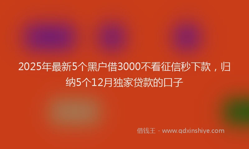 2025年最新5个黑户借3000不看征信秒下款，归纳5个12月独家贷款的口子
