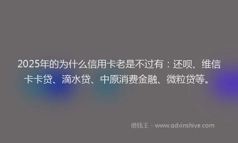 2025年的为什么信用卡老是不过有：还呗、维信卡卡贷、滴水贷、中原消费金融、微粒贷等。