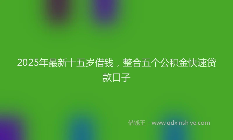 2025年最新十五岁借钱，整合五个公积金快速贷款口子