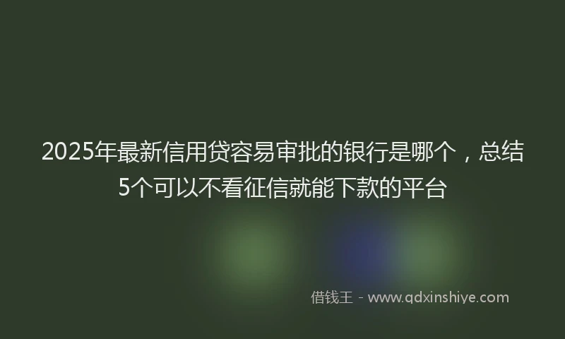 2025年最新信用贷容易审批的银行是哪个，总结5个可以不看征信就能下款的平台