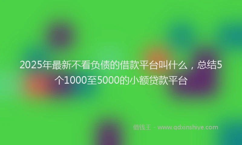2025年最新不看负债的借款平台叫什么，总结5个1000至5000的小额贷款平台