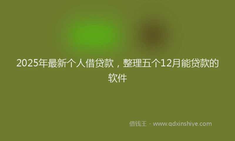 2025年最新个人借贷款，整理五个12月能贷款的软件