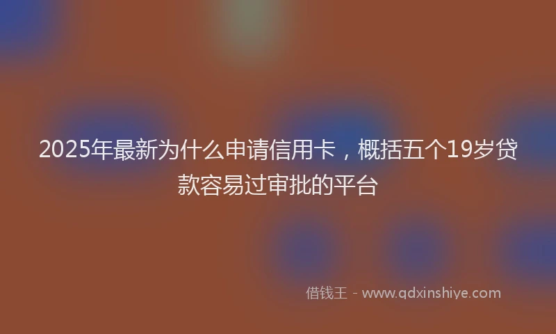 2025年最新为什么申请信用卡，概括五个19岁贷款容易过审批的平台