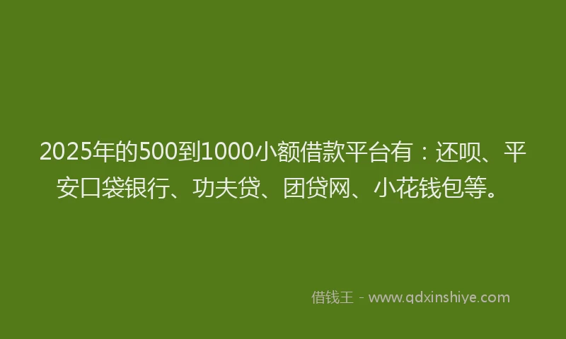2025年的500到1000小额借款平台有：还呗、平安口袋银行、功夫贷、团贷网、小花钱包等。