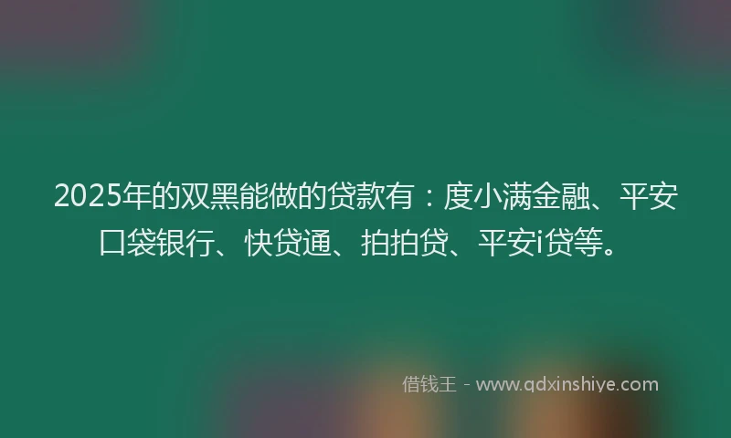 2025年的双黑能做的贷款有：度小满金融、平安口袋银行、快贷通、拍拍贷、平安i贷等。
