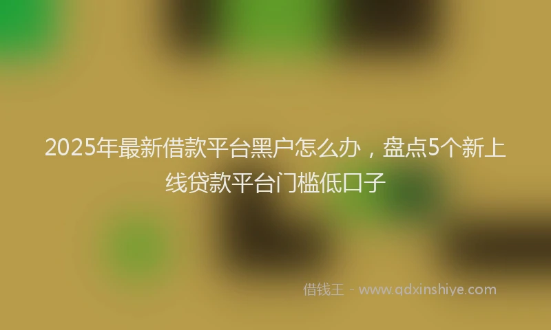 2025年最新借款平台黑户怎么办，盘点5个新上线贷款平台门槛低口子