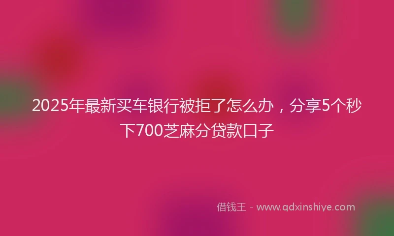 2025年最新买车银行被拒了怎么办，分享5个秒下700芝麻分贷款口子