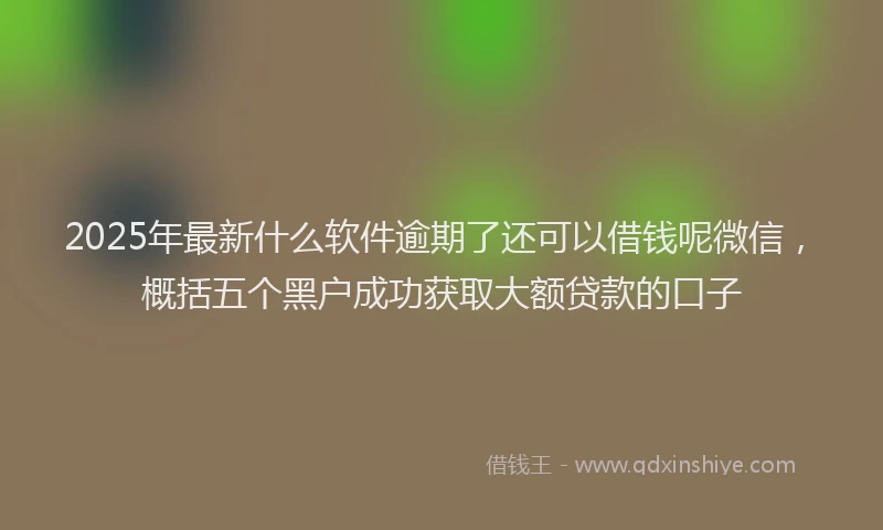 2025年最新什么软件逾期了还可以借钱呢微信，概括五个黑户成功获取大额贷款的口子