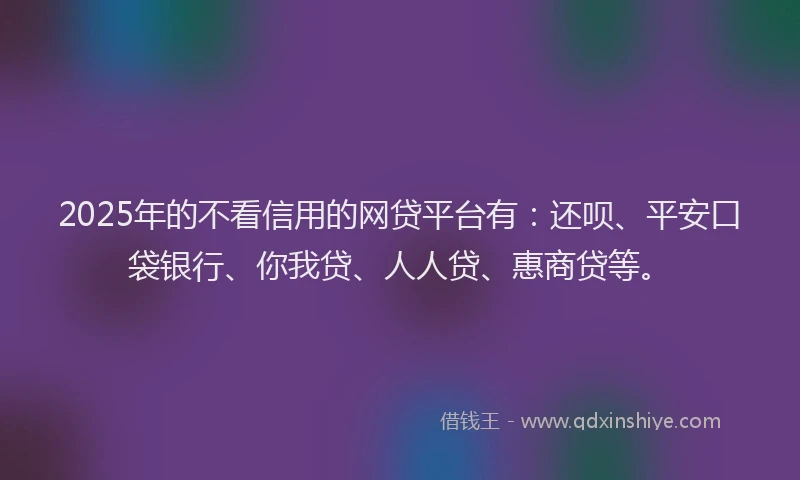 2025年的不看信用的网贷平台有：还呗、平安口袋银行、你我贷、人人贷、惠商贷等。
