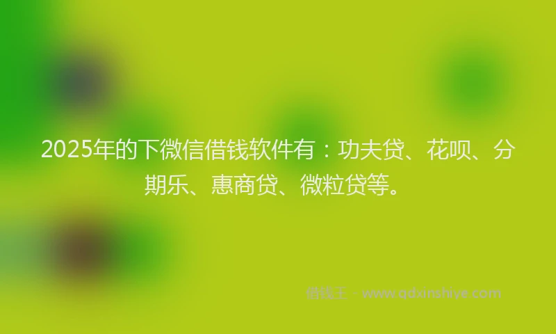 2025年的下微信借钱软件有：功夫贷、花呗、分期乐、惠商贷、微粒贷等。