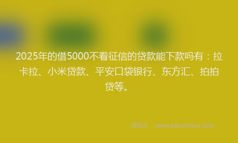2025年的借5000不看征信的贷款能下款吗有：拉卡拉、小米贷款、平安口袋银行、东方汇、拍拍贷等。