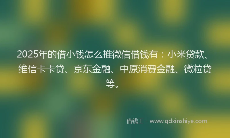 2025年的借小钱怎么推微信借钱有：小米贷款、维信卡卡贷、京东金融、中原消费金融、微粒贷等。