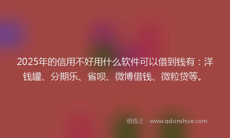 2025年的信用不好用什么软件可以借到钱有：洋钱罐、分期乐、省呗、微博借钱、微粒贷等。