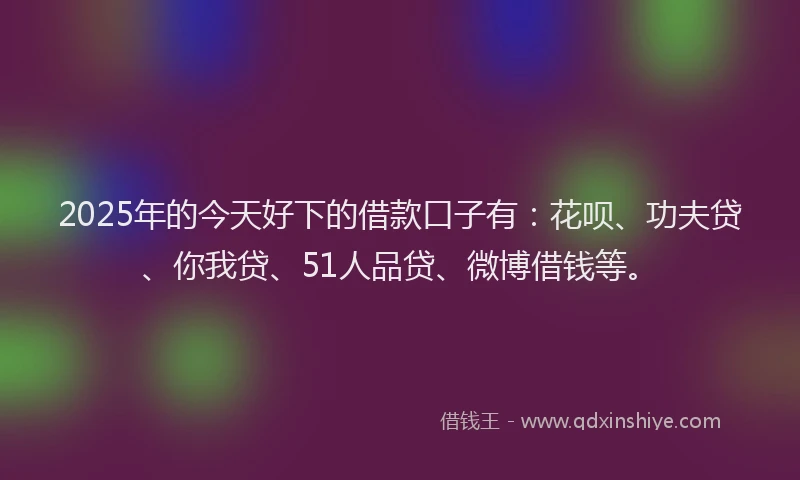 2025年的今天好下的借款口子有：花呗、功夫贷、你我贷、51人品贷、微博借钱等。