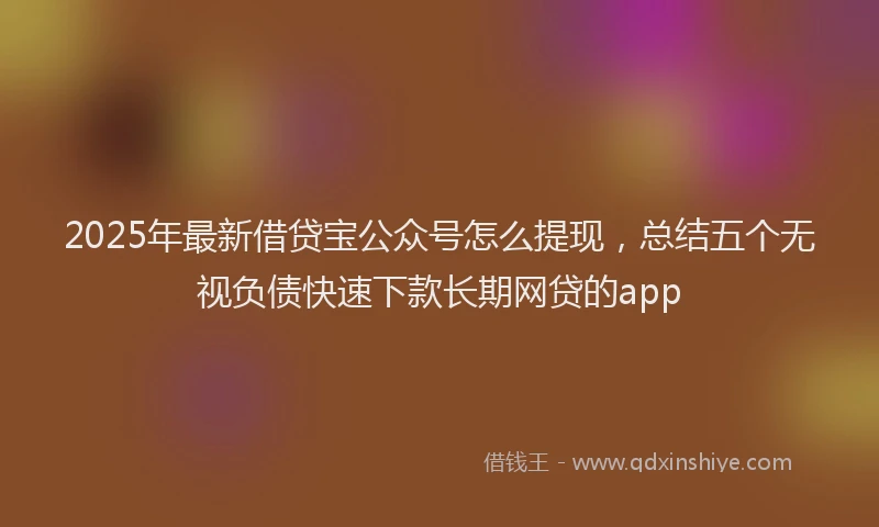 2025年最新借贷宝公众号怎么提现，总结五个无视负债快速下款长期网贷的app