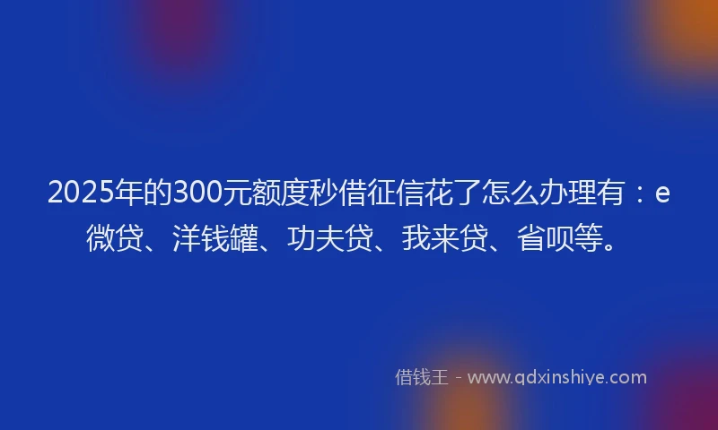 2025年的300元额度秒借征信花了怎么办理有：e微贷、洋钱罐、功夫贷、我来贷、省呗等。