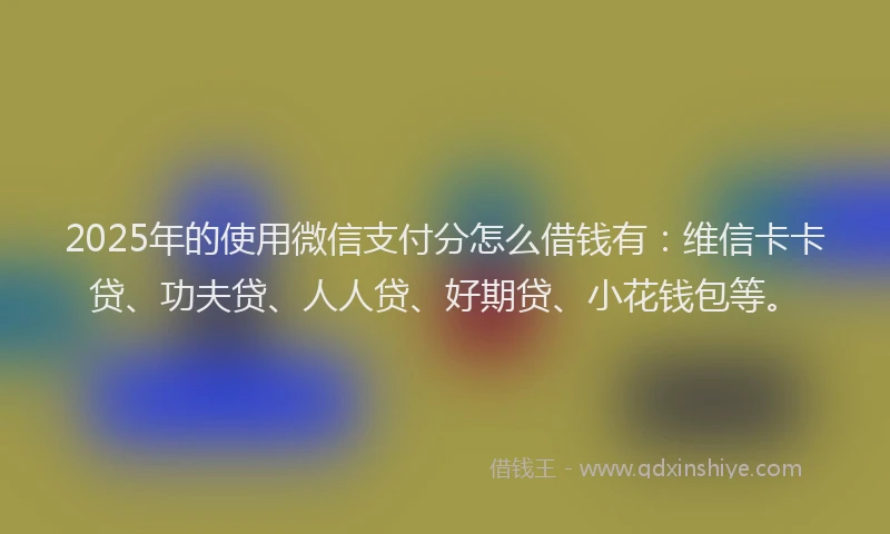 2025年的使用微信支付分怎么借钱有：维信卡卡贷、功夫贷、人人贷、好期贷、小花钱包等。