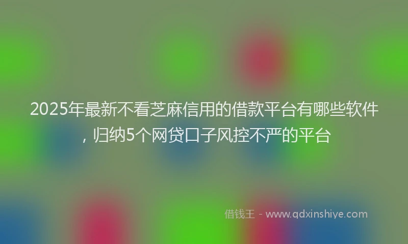 2025年最新不看芝麻信用的借款平台有哪些软件，归纳5个网贷口子风控不严的平台