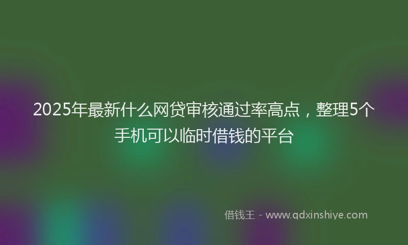 2025年最新什么网贷审核通过率高点，整理5个手机可以临时借钱的平台