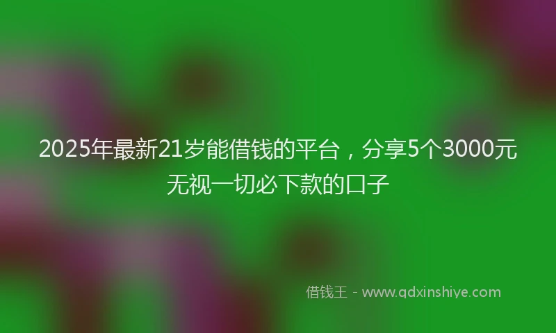 2025年最新21岁能借钱的平台，分享5个3000元无视一切必下款的口子