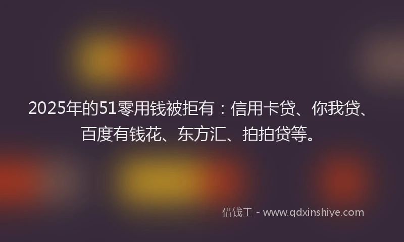 2025年的51零用钱被拒有：信用卡贷、你我贷、百度有钱花、东方汇、拍拍贷等。
