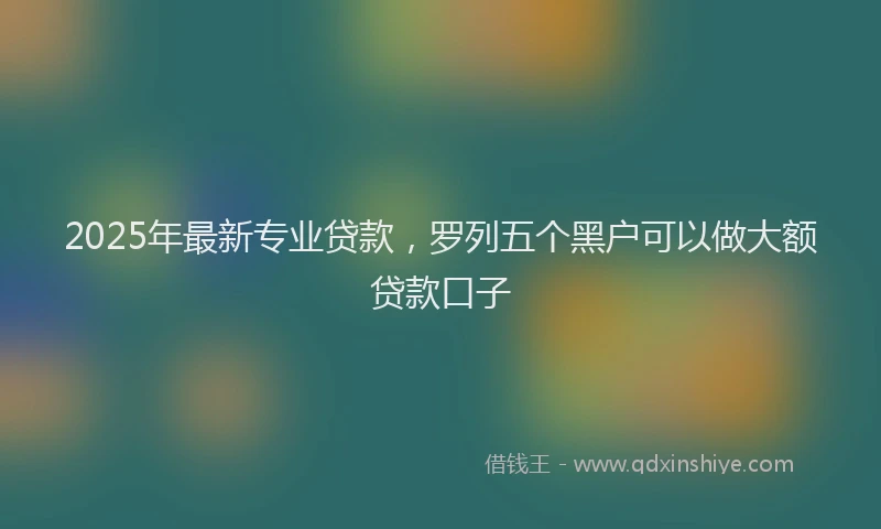 2025年最新专业贷款，罗列五个黑户可以做大额贷款口子