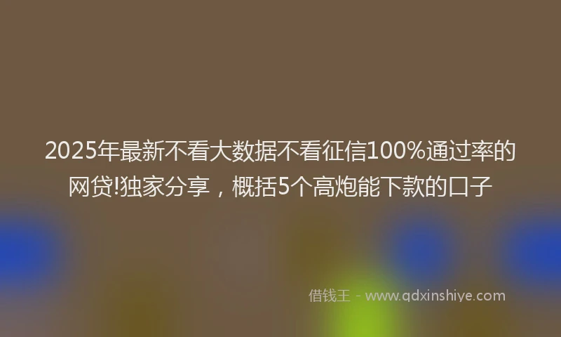 2025年最新不看大数据不看征信100%通过率的网贷!独家分享，概括5个高炮能下款的口子