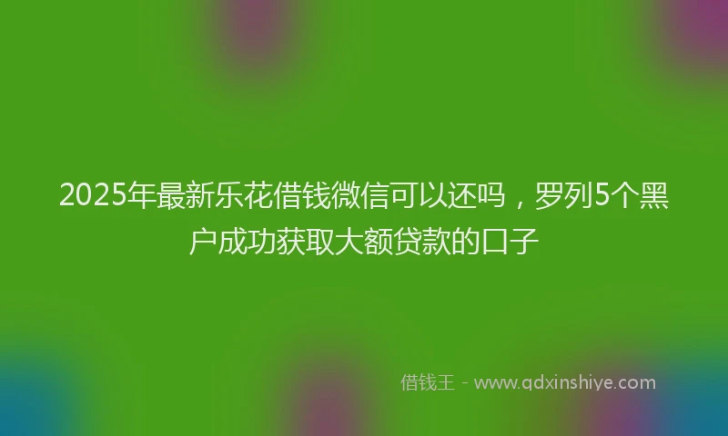 2025年最新乐花借钱微信可以还吗，罗列5个黑户成功获取大额贷款的口子