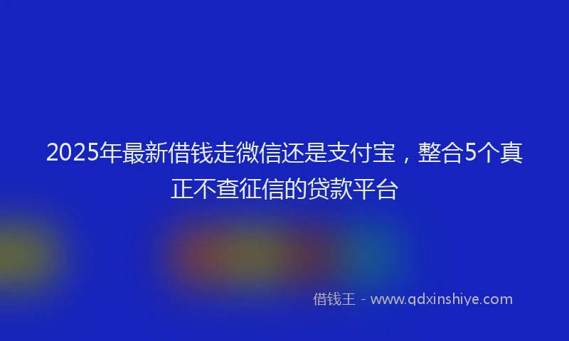 2025年最新借钱走微信还是支付宝，整合5个真正不查征信的贷款平台