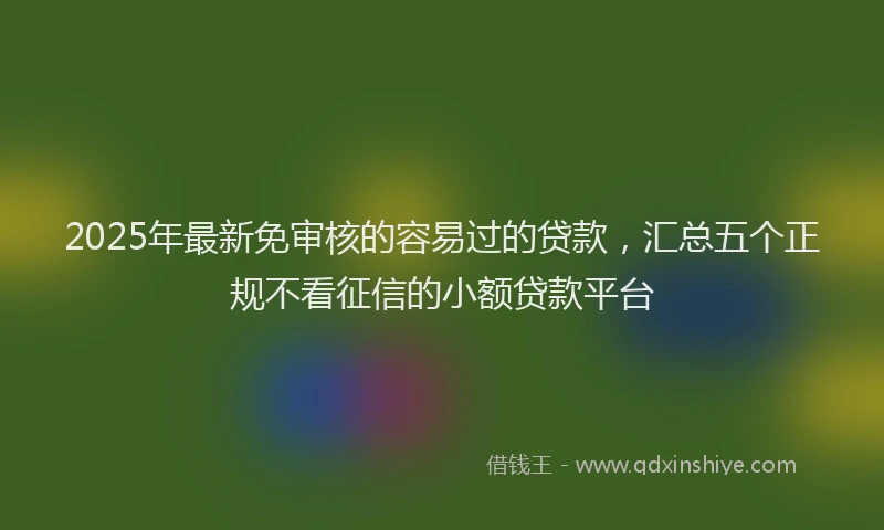 2025年最新免审核的容易过的贷款，汇总五个正规不看征信的小额贷款平台