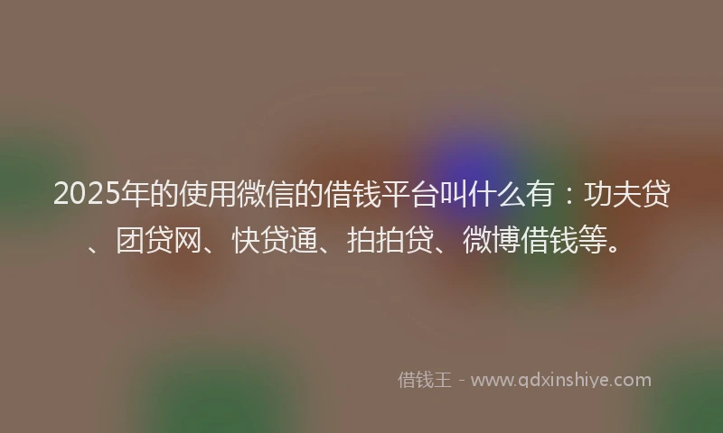 2025年的使用微信的借钱平台叫什么有：功夫贷、团贷网、快贷通、拍拍贷、微博借钱等。