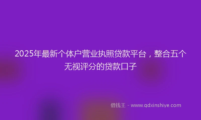 2025年最新个体户营业执照贷款平台，整合五个无视评分的贷款口子