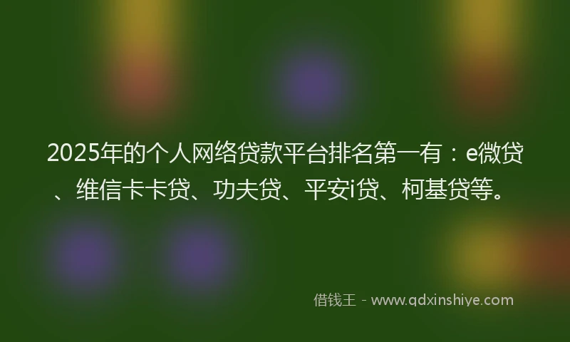 2025年的个人网络贷款平台排名第一有：e微贷、维信卡卡贷、功夫贷、平安i贷、柯基贷等。